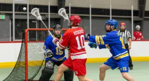 Box lacrosse – säännöt ja pelin perusteet